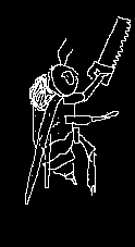 Ant Image