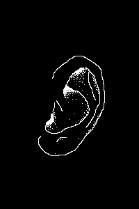 Squiggly Ear