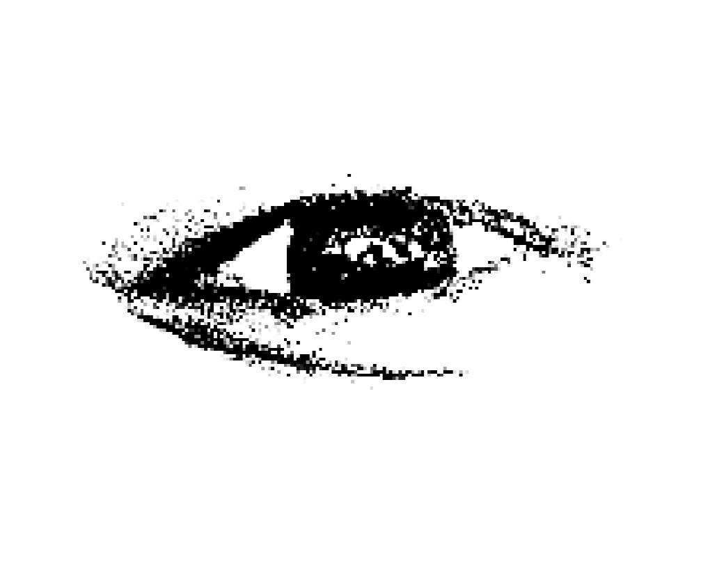 Eye