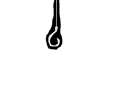 Hook