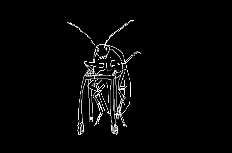 A confused old bug